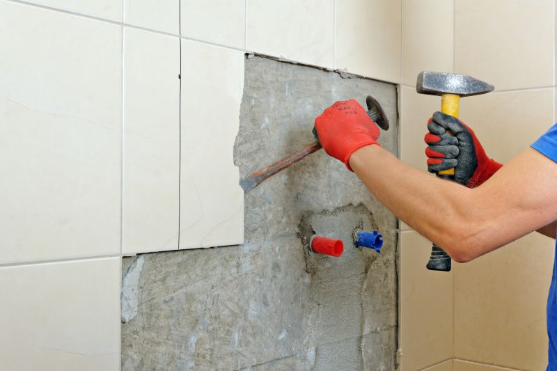 Top Bathroom Remodeling Companies in Lady Lake, FL